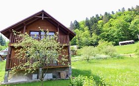 Карпатський Краєвид